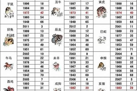 1994是什么狗|1994年属狗是什么命 1994年属狗的是什么命